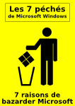 flyer-windows-7-peches-fond-jaune.png