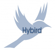 HYBIRD