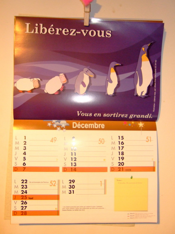 12-decembre