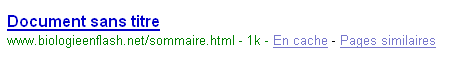 Lien dans un moteur de recherche vers 'Document sans titre'